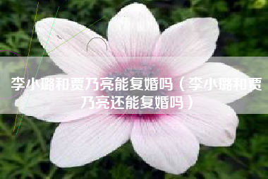 李小璐和贾乃亮能复婚吗（李小璐和贾乃亮还能复婚吗）
