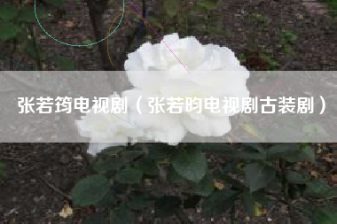 张若筠电视剧（张若昀电视剧古装剧）