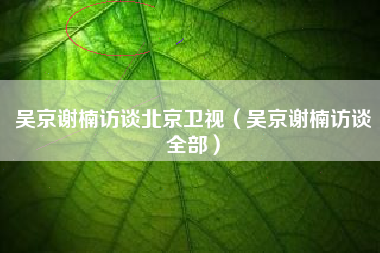 吴京谢楠访谈北京卫视（吴京谢楠访谈全部）