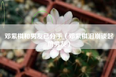 邓紫棋和男友已分手（邓紫棋泪崩谈起前男友）