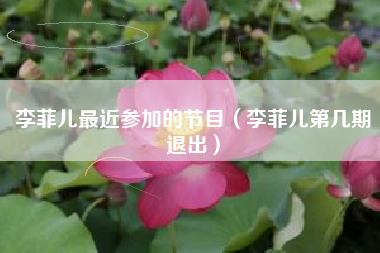 李菲儿最近参加的节目（李菲儿第几期退出）