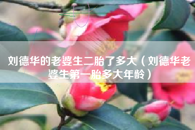 刘德华的老婆生二胎了多大（刘德华老婆生第一胎多大年龄）