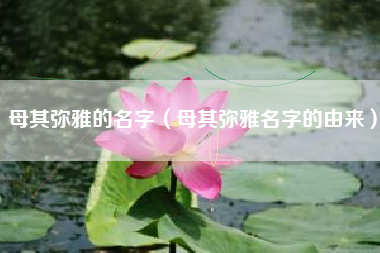 母其弥雅的名字（母其弥雅名字的由来）