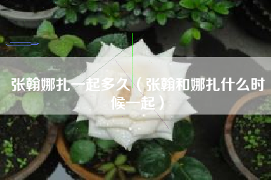 张翰娜扎一起多久（张翰和娜扎什么时候一起）
