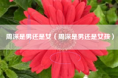 周深是男还是女（周深是男还是女孩）