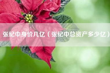 张纪中身价几亿（张纪中总资产多少亿）