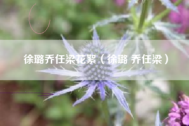 徐璐乔任梁花絮（徐璐 乔任梁）
