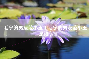 毛宁的男友范小玉（毛宁的男友范小玉是谁）