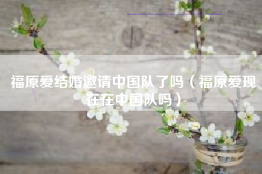 福原爱结婚邀请中国队了吗（福原爱现在在中国队吗）