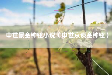 申世景金钟铉小说（申世京谈金钟铉）
