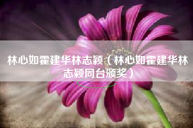 林心如霍建华林志颖（林心如霍建华林志颖同台颁奖）
