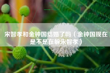 宋智孝和金钟国结婚了吗（金钟国现在是不是在躲宋智孝）