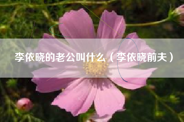 李依晓的老公叫什么（李依晓前夫）