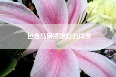 包含马景涛媳妇的词条