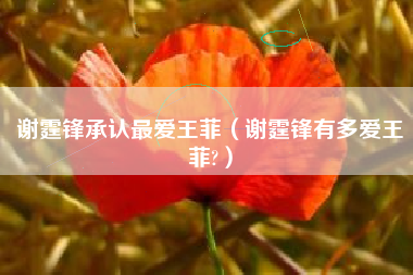 谢霆锋承认最爱王菲（谢霆锋有多爱王菲?）