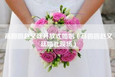 高圆圆赵又廷开放式婚姻（高圆圆赵又廷婚礼现场）