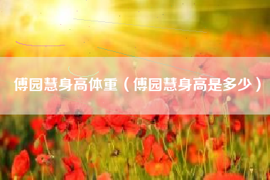 傅园慧身高体重（傅园慧身高是多少）