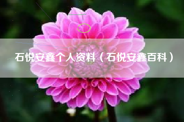 石悦安鑫个人资料（石悦安鑫百科）