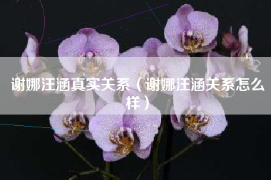 谢娜汪涵真实关系（谢娜汪涵关系怎么样）