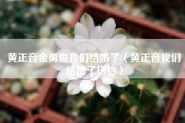 黄正音金勇俊我们结婚了（黄正音我们结婚了搭档）