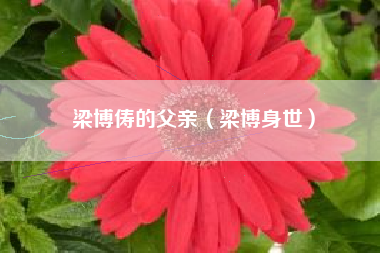 梁博俦的父亲（梁博身世）