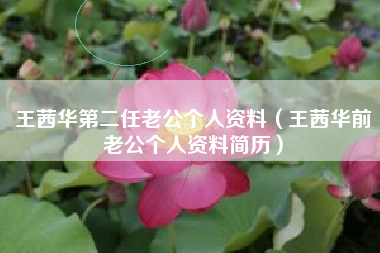 王茜华第二任老公个人资料（王茜华前老公个人资料简历）