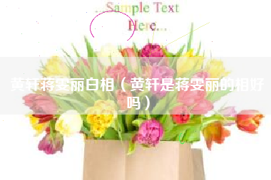 黄轩蒋雯丽白相（黄轩是蒋雯丽的相好吗）