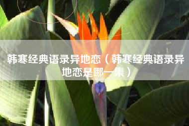 韩寒经典语录异地恋（韩寒经典语录异地恋是哪一集）