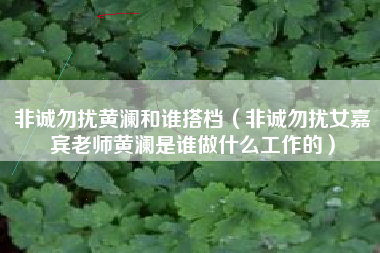 非诚勿扰黄澜和谁搭档（非诚勿扰女嘉宾老师黄澜是谁做什么工作的）