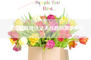 演员张萌现任丈夫吕超的简单介绍