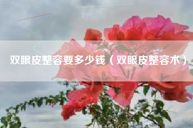 双眼皮整容要多少钱（双眼皮整容术）