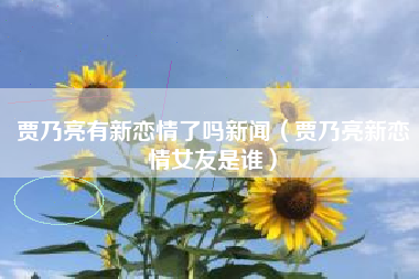 贾乃亮有新恋情了吗新闻（贾乃亮新恋情女友是谁）