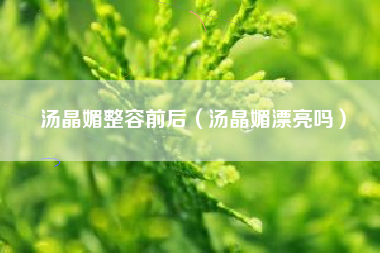 汤晶媚整容前后（汤晶媚漂亮吗）