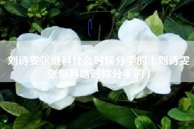刘诗雯张继科什么时候分手的（刘诗雯张继科啥时候分手的）