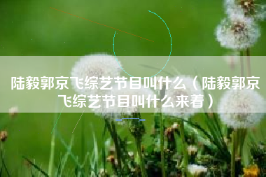陆毅郭京飞综艺节目叫什么（陆毅郭京飞综艺节目叫什么来着）