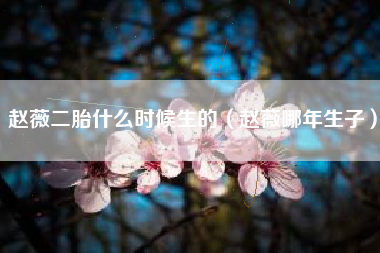 赵薇二胎什么时候生的（赵薇哪年生子）