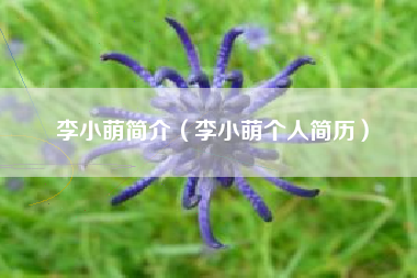 李小萌简介（李小萌个人简历）