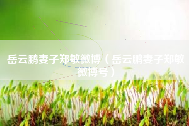 岳云鹏妻子郑敏微博（岳云鹏妻子郑敏微博号）