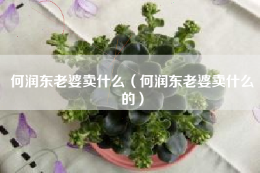 何润东老婆卖什么（何润东老婆卖什么的）