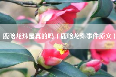鹿晗龙珠是真的吗（鹿晗龙珠事件原文）