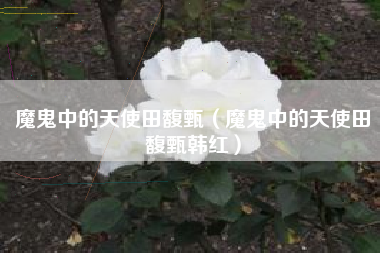魔鬼中的天使田馥甄（魔鬼中的天使田馥甄韩红）