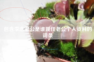 包含李念老公是谁现任老公个人资料的词条