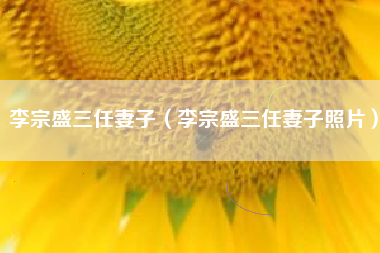 李宗盛三任妻子（李宗盛三任妻子照片）