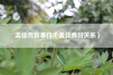 孟佳秀智事件（孟佳秀智关系）