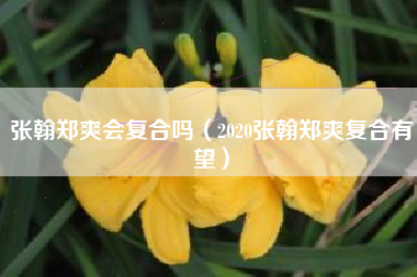 张翰郑爽会复合吗（2020张翰郑爽复合有望）