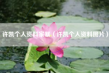 许凯个人资料家暴（许凯个人资料图片）