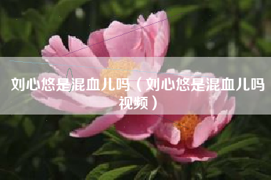 刘心悠是混血儿吗（刘心悠是混血儿吗视频）