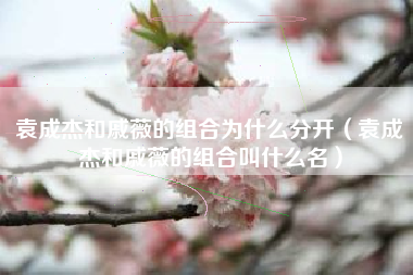 袁成杰和戚薇的组合为什么分开（袁成杰和戚薇的组合叫什么名）