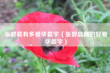 张碧晨有多爱华晨宇（张碧晨真的好爱华晨宇）
