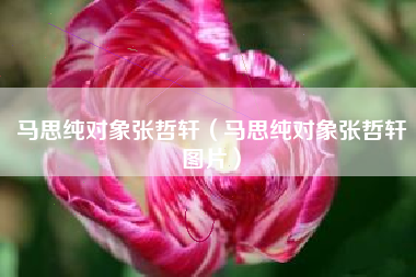马思纯对象张哲轩（马思纯对象张哲轩图片）